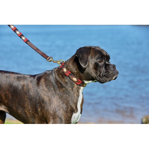 Weatherbeeta Polo Leather Dog Collar