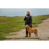 Weatherbeeta Rope Leather Dog Collar