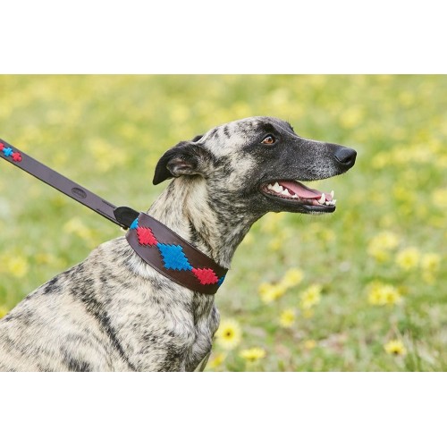 Weatherbeeta Lurcher Polo Leather Dog Collar