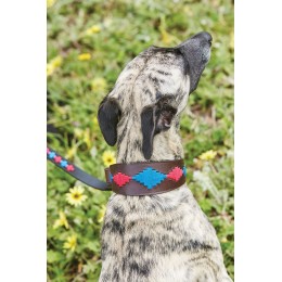 Weatherbeeta Lurcher поло кожаный ошейник для собаки