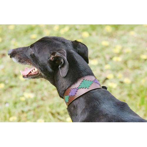 Weatherbeeta Lurcher Polo Leather Dog Collar