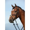 Collegiate Syntovia+ Padded Raised Figure 8 Bridle