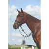 Collegiate Syntovia+ Plain Flat Running Martingale