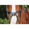 Collegiate Comfitec Grackle Bridle