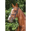 Collegiate Comfitec Grackle Bridle