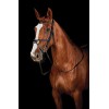 Collegiate Comfitec Grackle Bridle