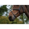 Collegiate Comfitec Grackle Bridle