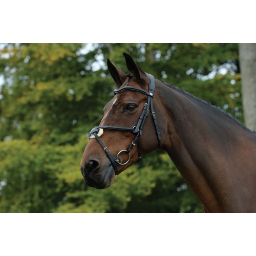Collegiate Comfitec Grackle Bridle