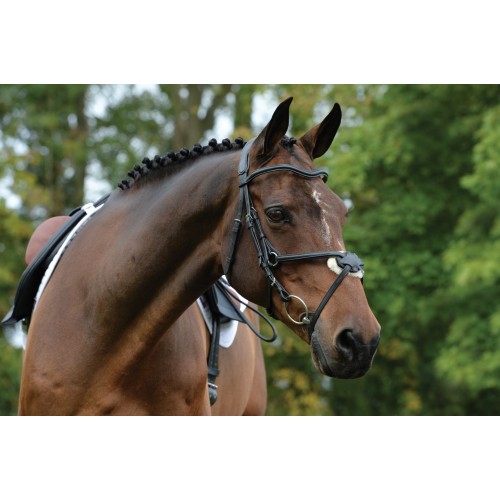 Collegiate Comfitec Grackle Bridle