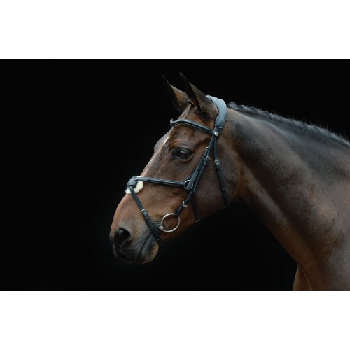 Collegiate Comfitec Grackle Bridle