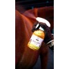 Effol Kids Star-Shine Glitter Spray Gold