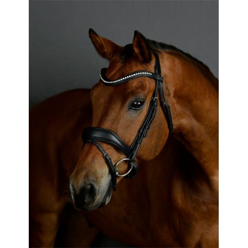 Collegiate Comfitec Opulux Padded Dressage Bridle