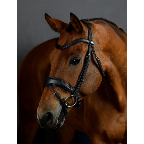 Collegiate Comfitec Opulux Padded Dressage Bridle