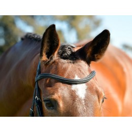 Collegiate Comfitec Opulux Plain Hanoverian Flash уздечка