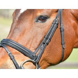 Collegiate Comfitec Opulux Plain Hanoverian Flash уздечка