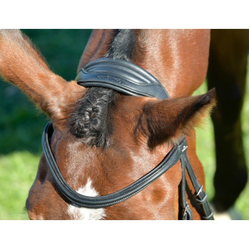 Collegiate Comfitec Opulux Plain Padded Hanoverian Flash Bridle