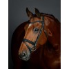 Collegiate Comfitec Opulux Plain Padded Hanoverian Flash Bridle