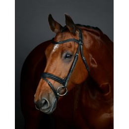 Collegiate Comfitec Opulux Plain Hanoverian Flash уздечка