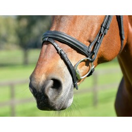 Collegiate Comfitec Opulux Plain Hanoverian Flash уздечка