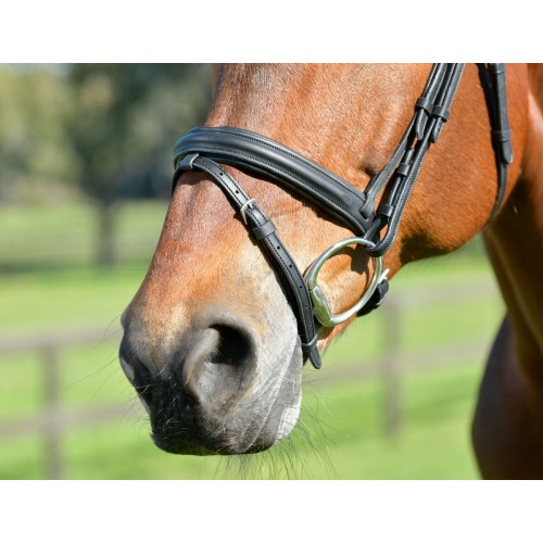 Collegiate Comfitec Opulux Plain Padded Hanoverian Flash Bridle