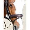Collegiate Comfitec Opulux Plain Padded Hanoverian Flash Bridle
