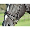 Collegiate Comfitec Opulux Plain Padded Hanoverian Flash Bridle