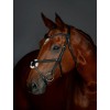 Collegiate Comfitec Opulux Plain Padded Grackle Bridle