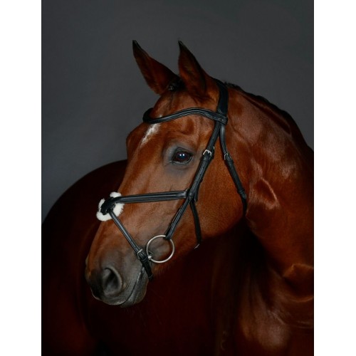 Collegiate Comfitec Opulux Plain Padded Grackle Bridle