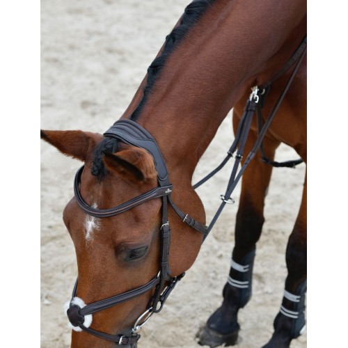 Collegiate Comfitec Opulux Plain Padded Grackle Bridle
