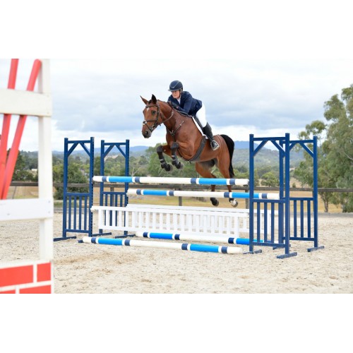 Collegiate Comfitec Opulux Plain Padded Grackle Bridle