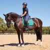 Weatherbeeta Prime Air-Tec Dressage Saddlepad