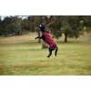 Weatherbeeta Comfitec Premier Deluxe Waterproof Dog Coat