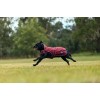 Weatherbeeta Comfitec Premier Deluxe Waterproof Dog Coat
