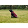 Weatherbeeta Comfitec Premier Deluxe Waterproof Dog Coat