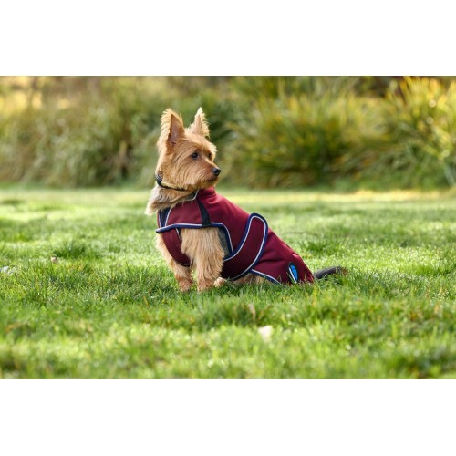 Weatherbeeta Comfitec Premier Deluxe Waterproof Dog Coat