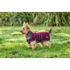 Weatherbeeta Comfitec Premier Deluxe Waterproof Dog Coat