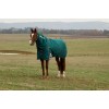 Weatherbeeta Comfitec Plus Dynamic Turnout Detach-A-Neck 220G