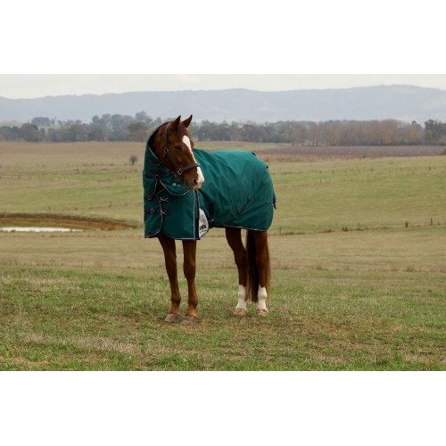 Weatherbeeta Comfitec Plus Dynamic Turnout Detach-A-Neck 220G