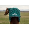 Weatherbeeta Comfitec Plus Dynamic Turnout Detach-A-Neck 220G