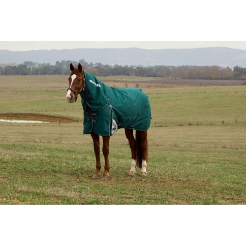 Weatherbeeta Comfitec Plus Dynamic Turnout Detach-A-Neck 100G