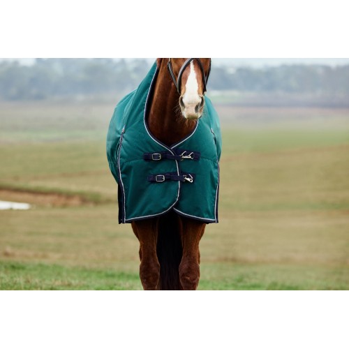 Weatherbeeta Comfitec Plus Dynamic Turnout High Neck 100G