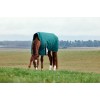 Weatherbeeta Comfitec Plus Dynamic Turnout High Neck 100G