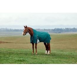 Weatherbeeta Comfitec Plus Dynamic попона с высоким воротом 220G