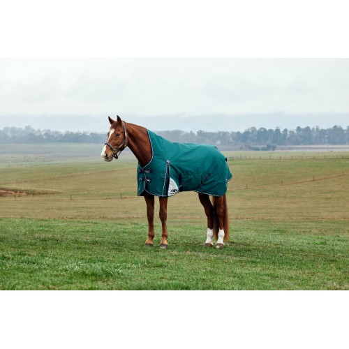 Weatherbeeta Comfitec Plus Dynamic Turnout High Neck 220G