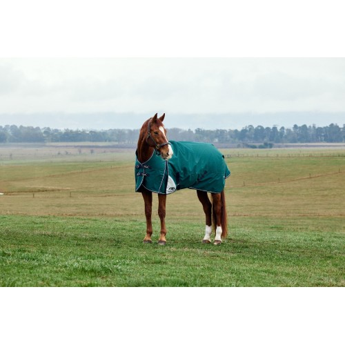 Weatherbeeta Comfitec Plus Dynamic Turnout High Neck 100G