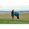 Weatherbeeta Comfitec Plus Dynamic Turnout High Neck 220G