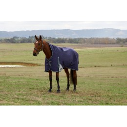 Weatherbeeta Comfitec Plus Dynamic попона с высоким воротом 220G