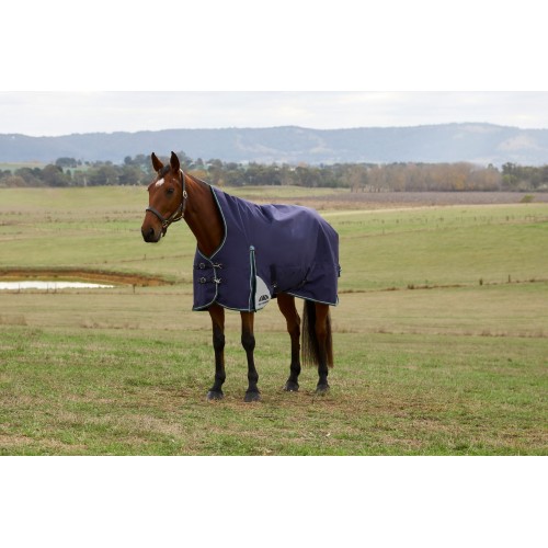 Weatherbeeta Comfitec Plus Dynamic Turnout High Neck 220G