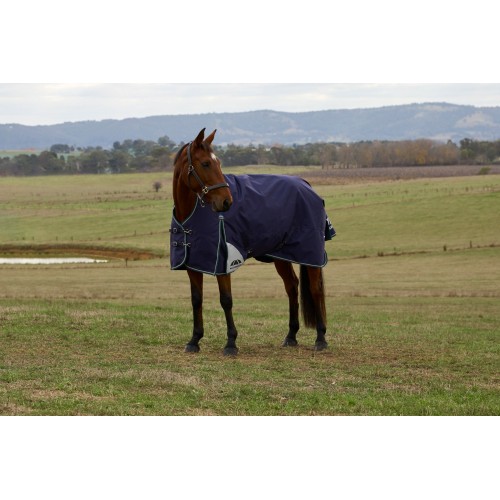 Weatherbeeta Comfitec Plus Dynamic Turnout High Neck 100G