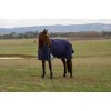 Weatherbeeta Comfitec Plus Dynamic Turnout High Neck 220G